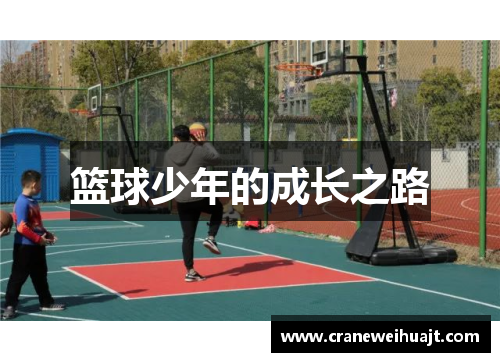 篮球少年的成长之路